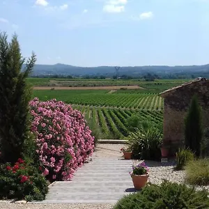 L'archimbaude , Pertuis France